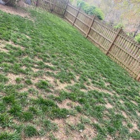 Leaf Removal by Jack's Lawn Care reviewed on June 24, 2022