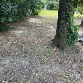 Cleanups by 4K Lawncare reviewed on October 28, 2024