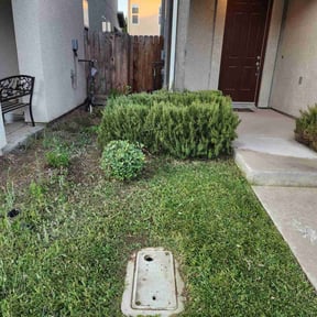 Bush Trimming by L7 Lawn Care reviewed on May 27, 2025