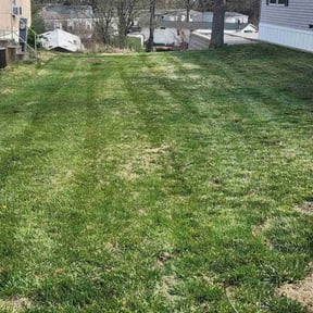 Leaf Removal by Ultimate Landscape Contractor reviewed on June 19, 2020