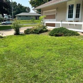 Bush Trimming by Olympus Outdoor Services reviewed on November 6, 2024