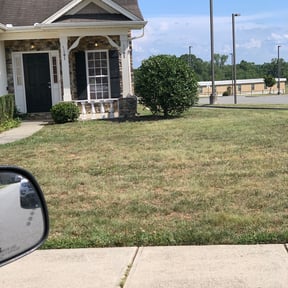 Bush Trimming by Green T's Lawn & Landscape reviewed on April 12, 2025