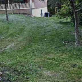 Bush Trimming by Krenik lawn services reviewed on October 24, 2024