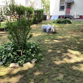 Leaf Removal by ABC Lawn and Waterscapes reviewed on May 12, 2022