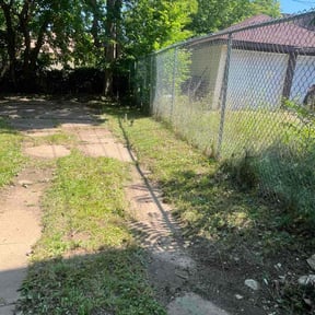 Landscaping by Lawn care Debris and Tree reviewed on August 10, 2024