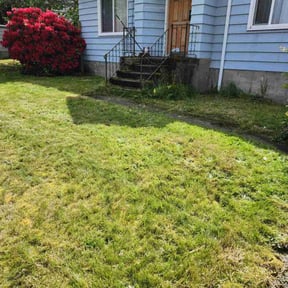 Cleanups by Undercut Lawn Care reviewed on August 13, 2024