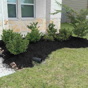 Mulching by David landscaping services reviewed on March 10, 2025