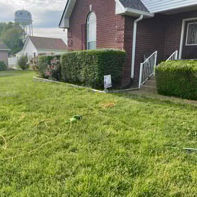 Bush Trimming by Anton Lawn Care reviewed on May 22, 2025