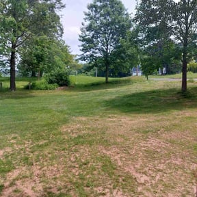 Landscaping by Mcqueens lawn care reviewed on August 2, 2022