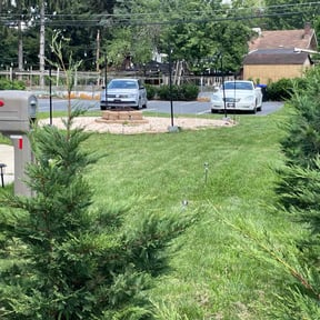 Leaf Removal by Green River Landscape, LLC reviewed on August 31, 2020