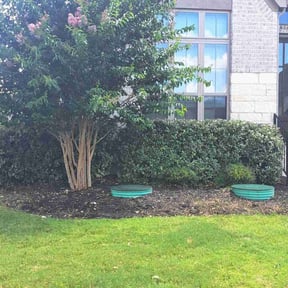 Bush Trimming by Bean Sprout Lawn Service LLC reviewed on August 26, 2020