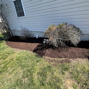 Mulching by AP Landscapers reviewed on September 3, 2024
