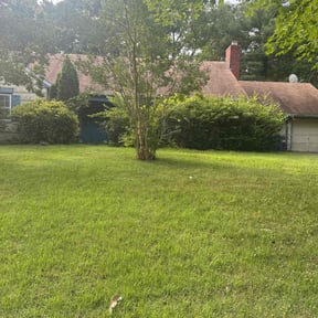 Bush Trimming by Dan's Lawn & Landscaping reviewed on October 28, 2024