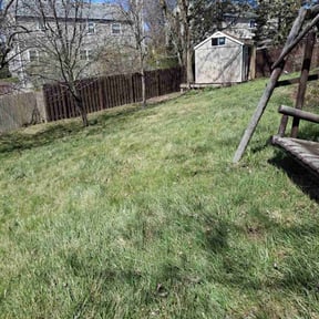 Leaf Removal by A1 Ideal Lawn Care reviewed on June 27, 2022