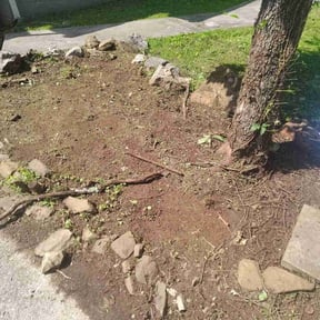 Flower Bed Weeding by Carlos Tapia reviewed on August 12, 2024