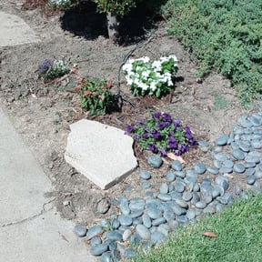 Flower Bed Weeding by Devout Landscape reviewed on May 9, 2025