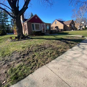 Leaf Removal by Lawn care Debris and Tree reviewed on August 10, 2024
