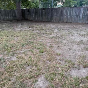 Leaf Removal by real lawn service reviewed on July 14, 2022