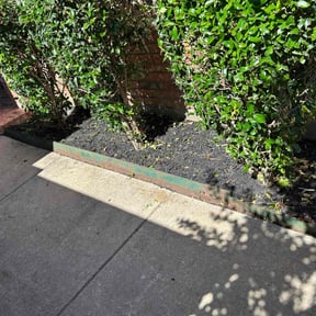 Flower Bed Weeding by SunnyDay Lawn Service+Maintance reviewed on July 27, 2022