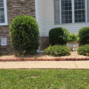 Bush Trimming by DJ LANDSCAPING & CONSTRUCTION LLC reviewed on April 27, 2021