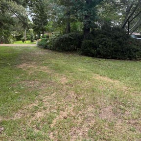Bush Trimming by Dans Lawn Care reviewed on November 26, 2024