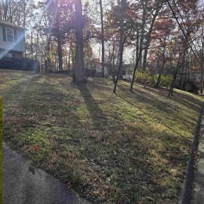 Leaf Removal by A1 Sears Carpet Cleaning/Landscaping reviewed on July 20, 2022