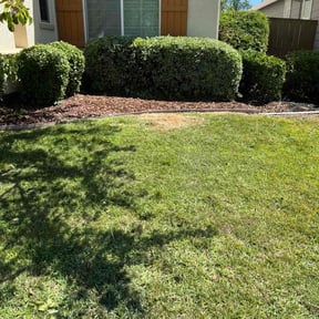 Bush Trimming by Transformed reviewed on May 28, 2021