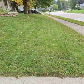 Flower Bed Weeding by S &S lawn care reviewed on July 23, 2022