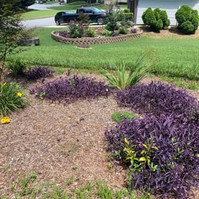 Flower Bed Weeding by Robert Bass reviewed on January 25, 2025