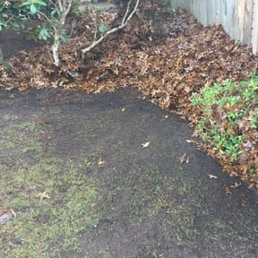 Cleanups by K's Lawn Care reviewed on April 5, 2025