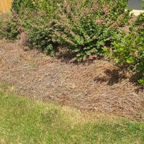 Weeding by Mahan lawn care reviewed on November 4, 2022