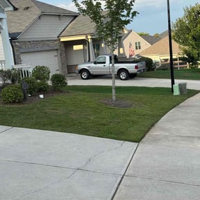 Bush Trimming by Lawn Gnomes LLC reviewed on July 8, 2022