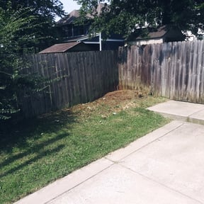 Cleanups by Anton Lawn Care reviewed on August 6, 2024