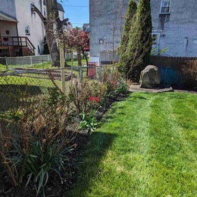 Flower Bed Weeding by Mow betta lawn care reviewed on May 31, 2022