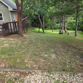 Bush Trimming by Grass and Garden reviewed on October 28, 2022