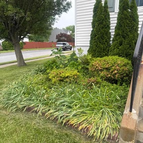 Flower Bed Weeding by LSLTDallas/FortWorthTruGreen reviewed on August 28, 2024