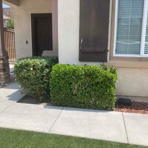 Bush Trimming by Dezell's Home Improvement LLC reviewed on June 15, 2022
