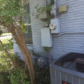 Bush Trimming by Golden Lion&#039;s reviewed on June 1, 2021