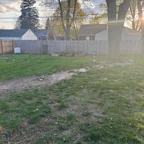 Leaf Removal by Viking Mow & Plow reviewed on May 18, 2022