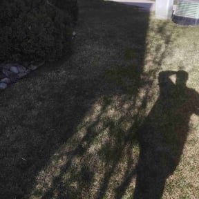 Cleanups by M and M lawn and snow reviewed on August 2, 2022