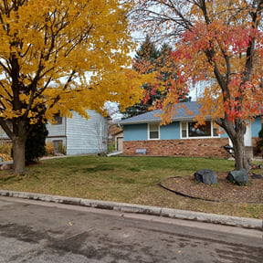 Leaf Removal by Omar Norris reviewed on April 22, 2022