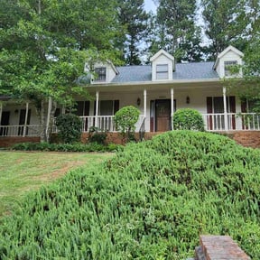 Bush Trimming by Local Green Lawn Care LLC reviewed on June 29, 2022