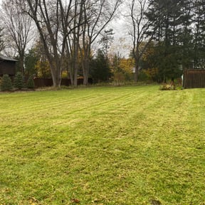 Leaf Removal by Scott Bensing Lawn Care reviewed on June 7, 2022