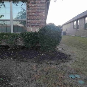 Bush Trimming by Merriweather's Lawn Care reviewed on June 14, 2022