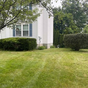Bush Trimming by real lawn service reviewed on April 13, 2022