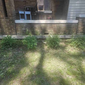 Bush Trimming by Marshall Lawn Care, LLC reviewed on April 2, 2025