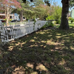 Leaf Removal by Superior Lawn Pros LLC reviewed on January 4, 2025