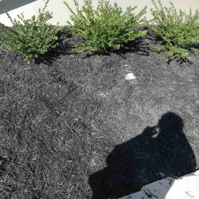 Flower Bed Weeding by Jamie's Landscaping reviewed on May 16, 2022