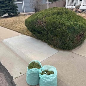 Bush Trimming by Old Skool Outdoorz, LLC reviewed on July 12, 2022