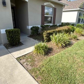 Bush Trimming by Better Price Lawn Service of Central Florida, LLC reviewed on June 12, 2025